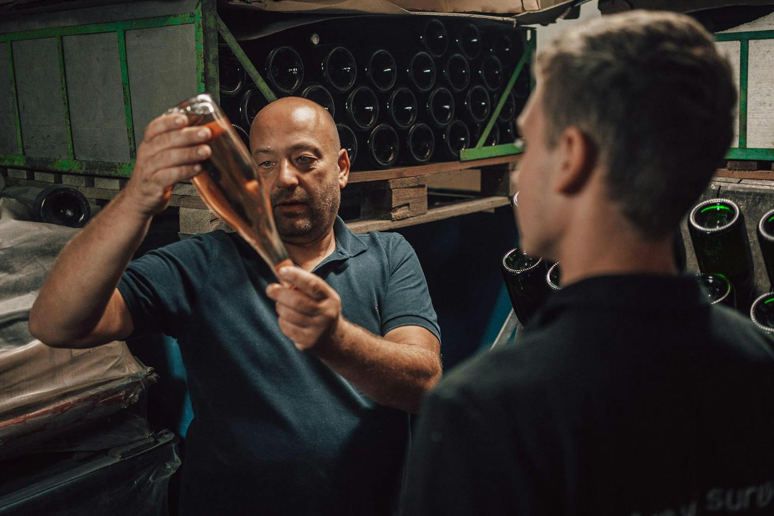 Hiša Joannes Protner